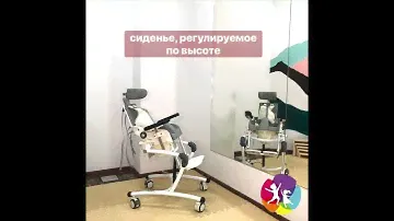 Фламинго: кресло-стул с санитарным оснащением