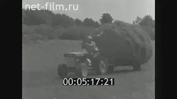 1985г. совхоз имени 8 марта, мини-трактор Харламова В.В. Волгоградская обл