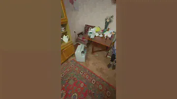Кислородный концентратор- 3